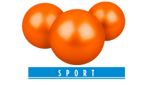 Lade das Bild in den Galerie-Viewer, T4E Paintballs | PAB 43 - MantisX.at